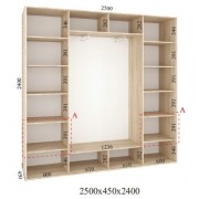 Шафа-купе Стандарт 250х45х240