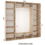 Шафа-купе Стандарт 250х60х240