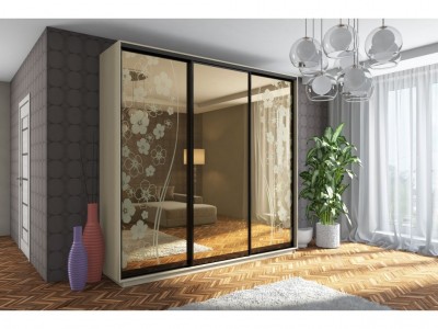 Шафа-купе Тридверна 250х240х60